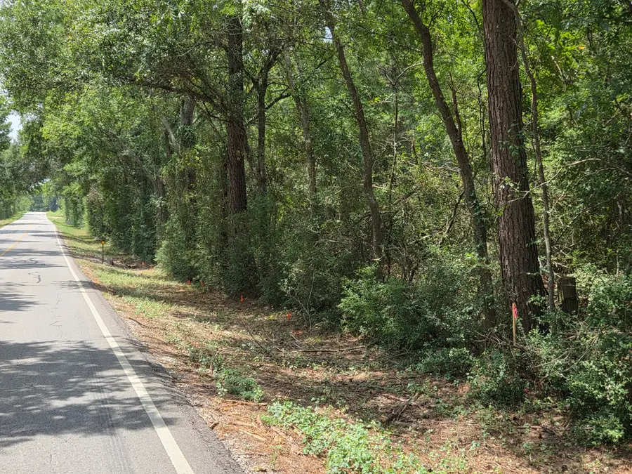 11.5 Acres Johnson Road, Montgomery, TX 77356 - Image #3