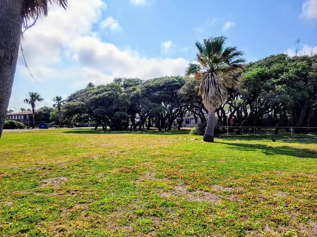 1129 Highway 35 N, Rockport, TX 78382 - #1