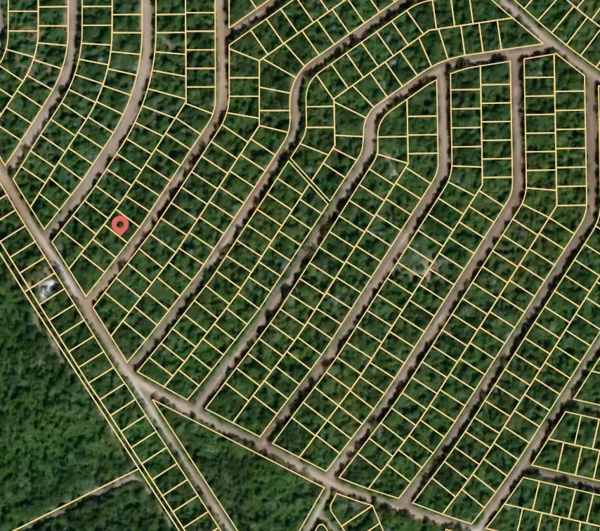 Lot 24 Hummingbird, Normangee, TX 77871 - Image #2