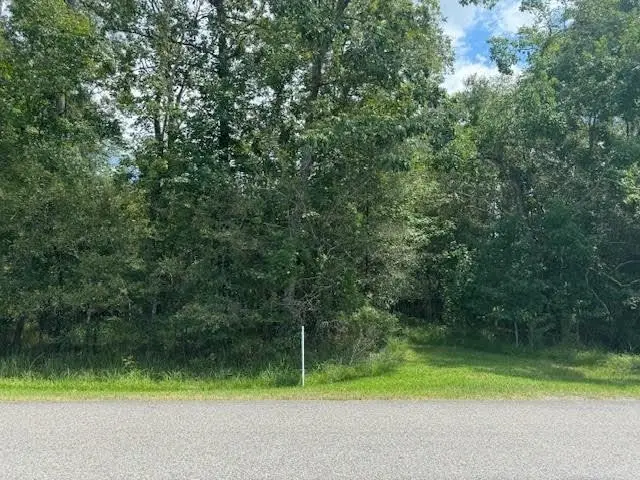 000 Pinewood, Sour Lake, TX 77659 - #1