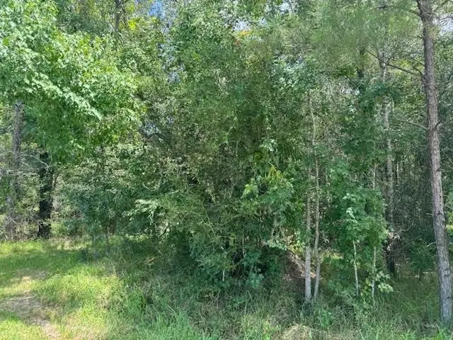 000 Pinewood, Sour Lake, TX 77659 - #2
