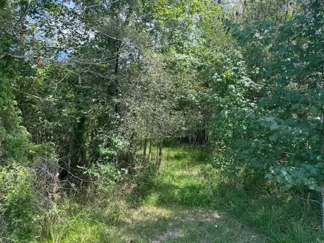 000 Pinewood, Sour Lake, TX 77659 - #3