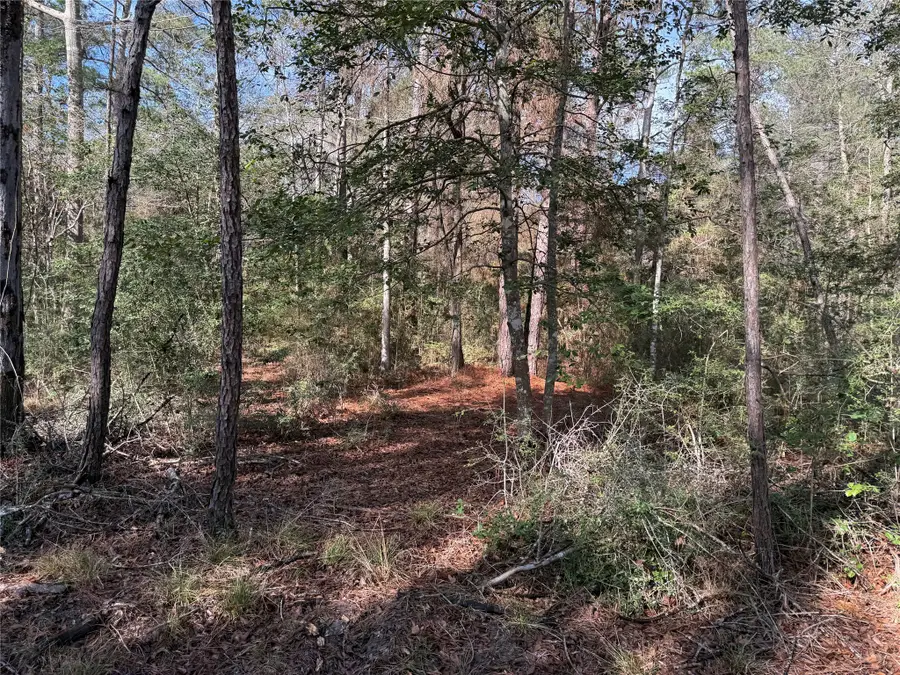 TBD Lot 3 John Keely Road, Zavalla, TX 75980 - #3