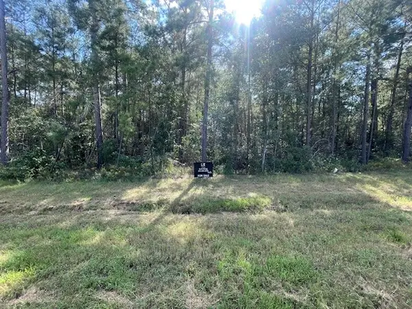 108 Coyote Run, Willis, TX 77378