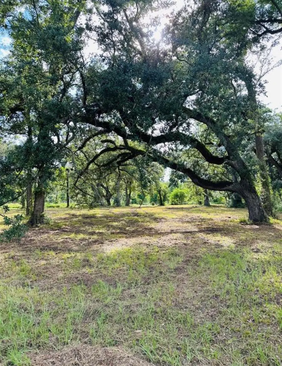 202 Jones Road, Angleton, TX 77515 - #3