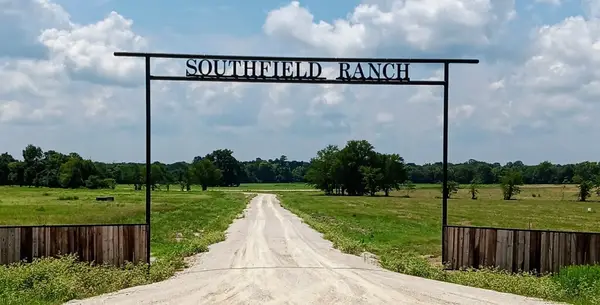 TRACT 24 Fm 2915, Lovelady, TX 75851