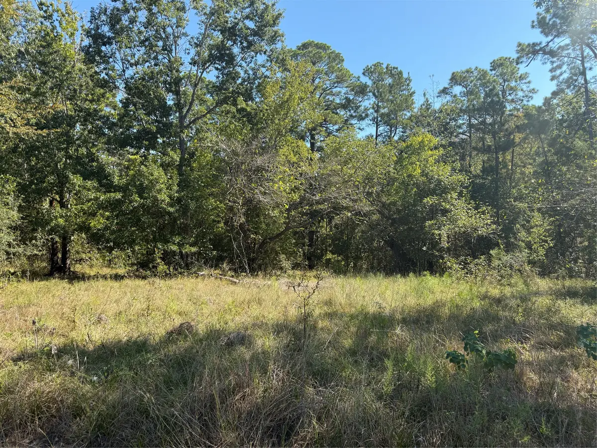TBD Shadowood Lane, Coldspring, TX 77331 - #1