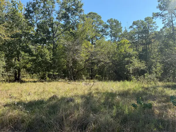 TBD Shadowood Lane, Coldspring, TX 77331