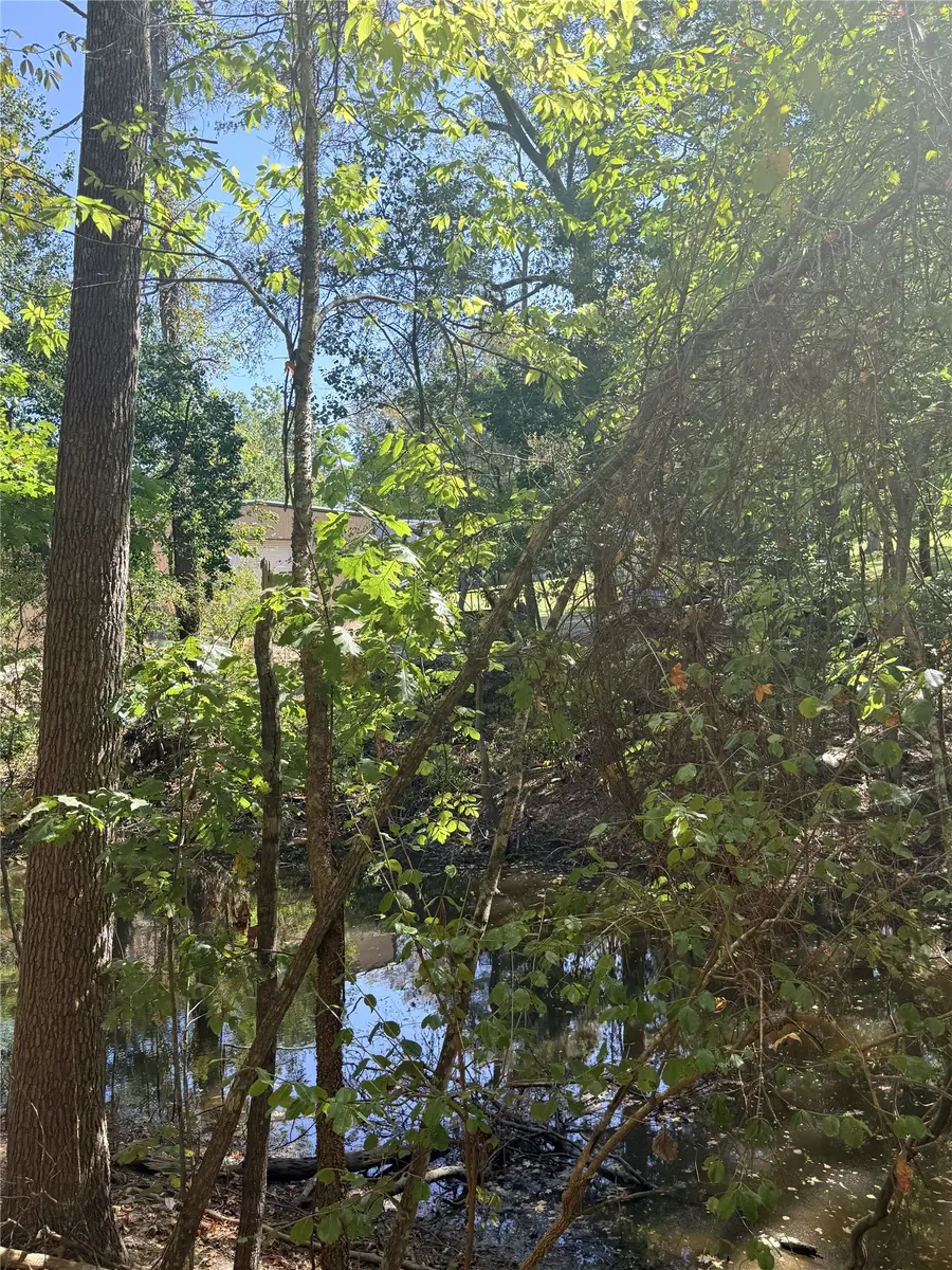 TBD Shadowood Lane, Coldspring, TX 77331 - #2