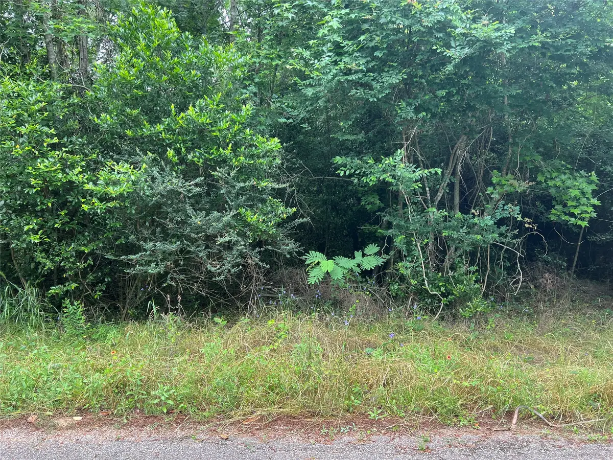 0 Rollingwood Loop, Conroe, TX 77303 - #1