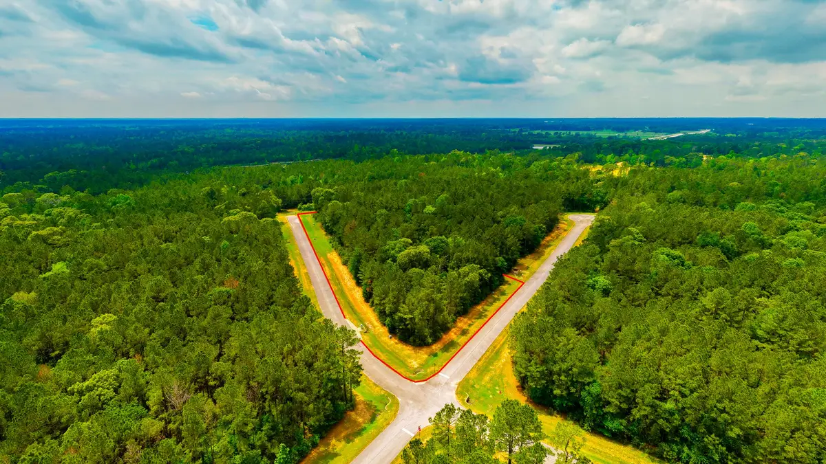 11340 Larissa Lane, Montgomery, TX 77316 - #1