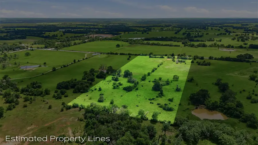 Tract 5 Holly Cemetery Road, Franklin, TX 77856 - #2