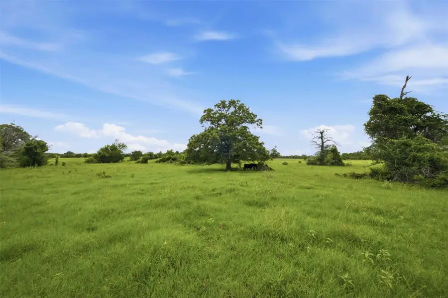 Tract 5 Holly Cemetery Road, Franklin, TX 77856 - #3