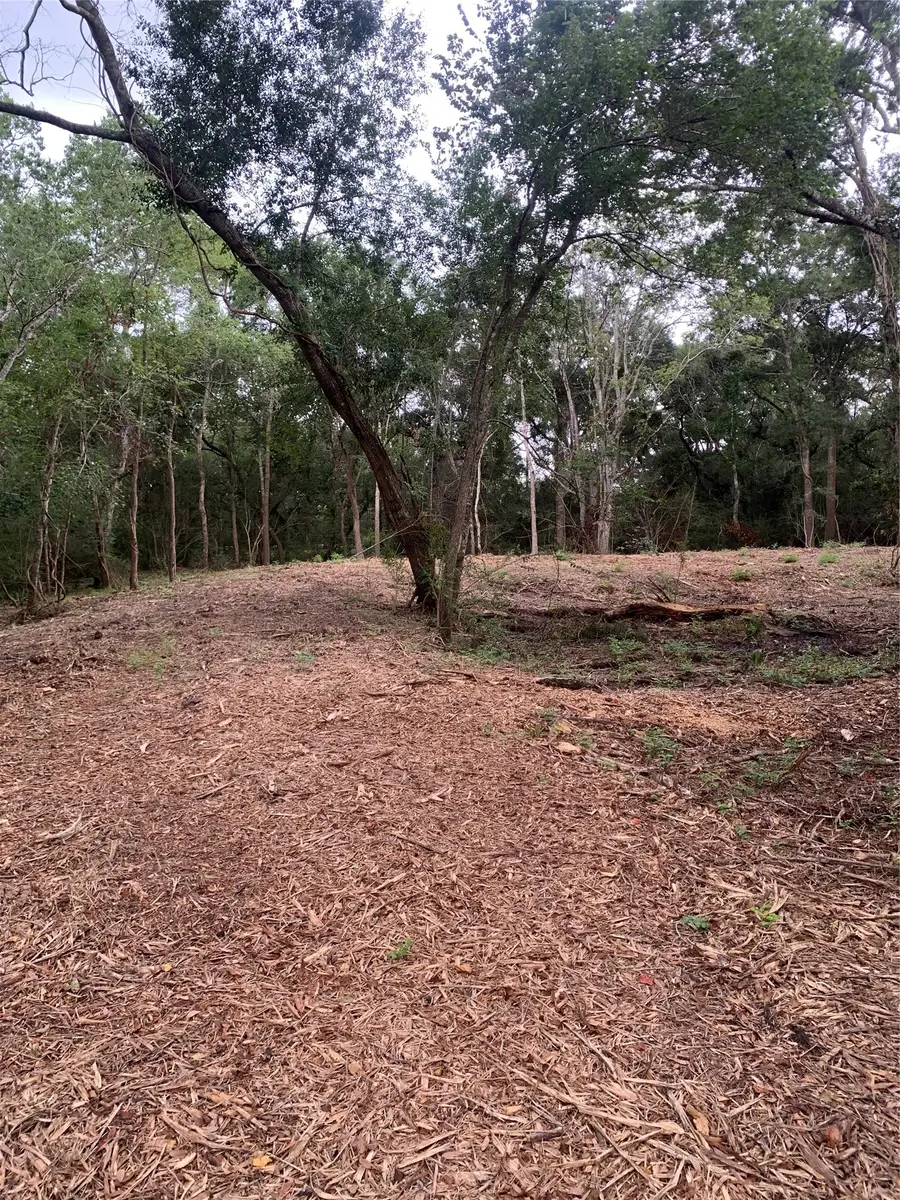 7212 Cobbs Oak Lane, Rosharon, TX 77583 - #2
