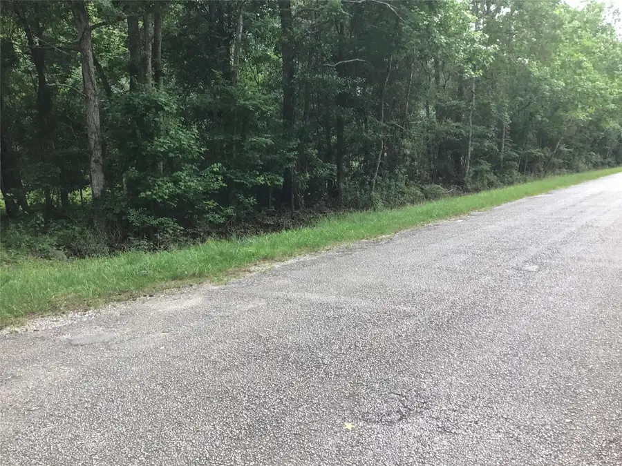 TBD Hwy 321 And Cr 304 Highway, Dayton, TX 77535 - #3
