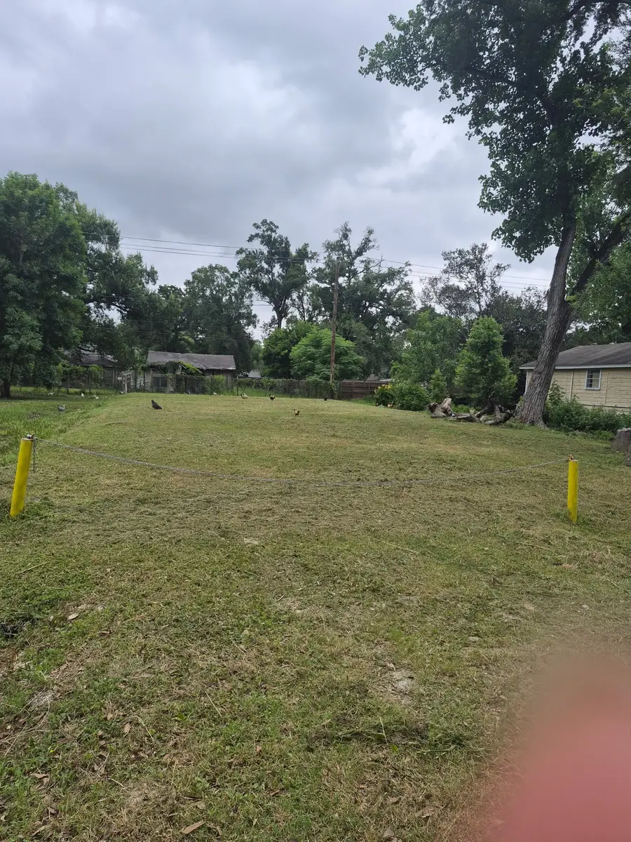 8125 Bigwood, Houston, TX 77078 - #2