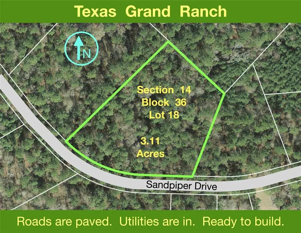 14-36-18 Sandpiper Drive, New Waverly, TX 77358 - Image #1