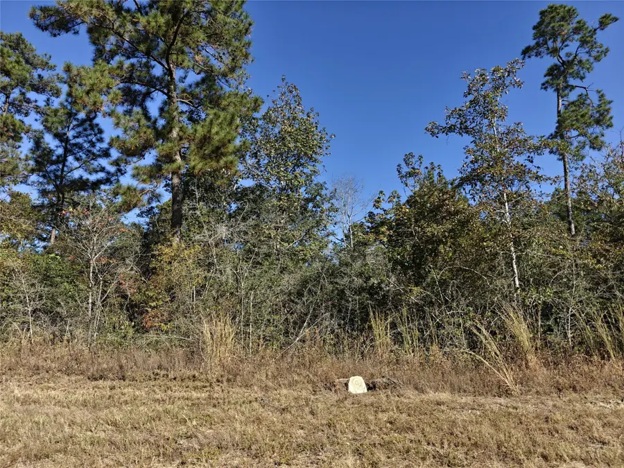 357 Iron Horse Road, New Waverly, TX 77358 - Image #2