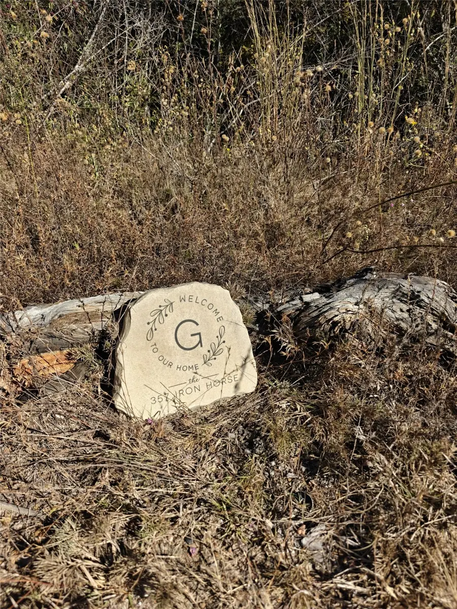 357 Iron Horse Road, New Waverly, TX 77358 - Image #3