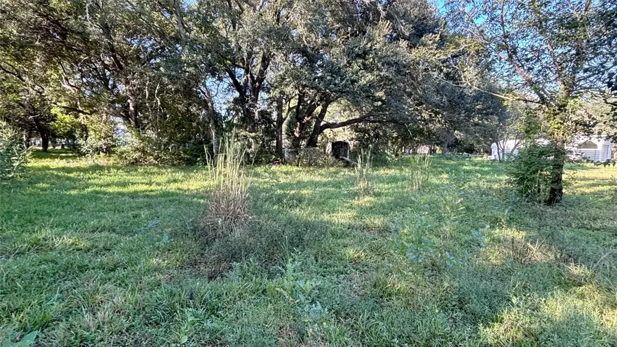 19101 Forest Street, Alvin, TX 77511 - #2