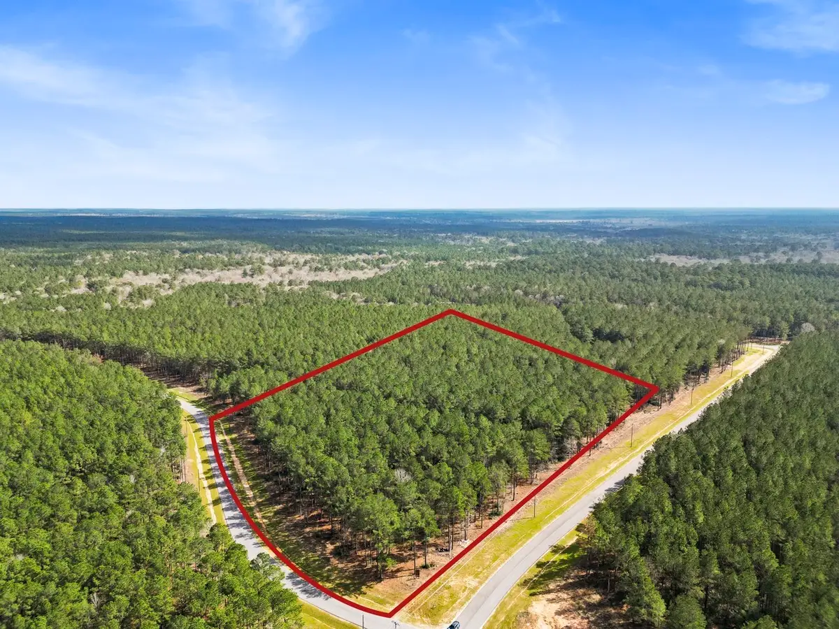 TBD Queen Anne, Huntsville, TX 77340 - Image #1