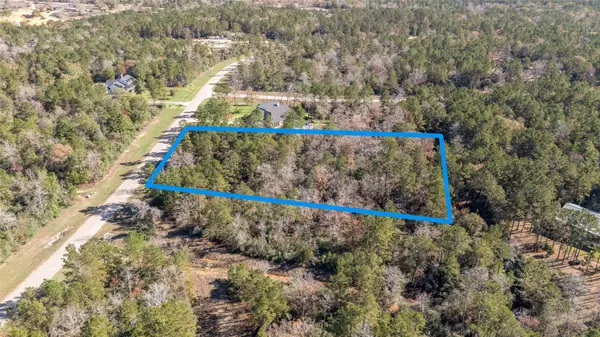 10674 Ruger Road, Willis, TX 77378