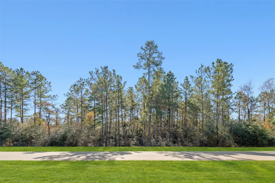 10674 Ruger Road, Willis, TX 77378 - Image #2