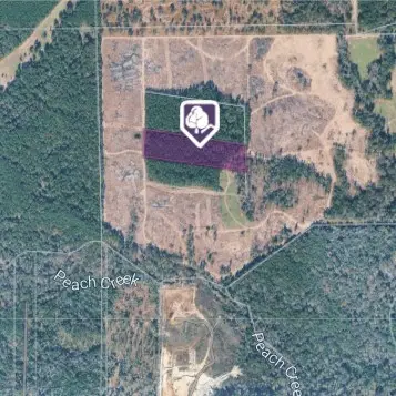 TBD Morgan Cemetary Rd, Cleveland, TX 77328 - #1