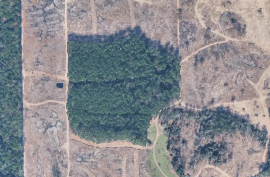 TBD Morgan Cemetary Rd, Cleveland, TX 77328 - #2