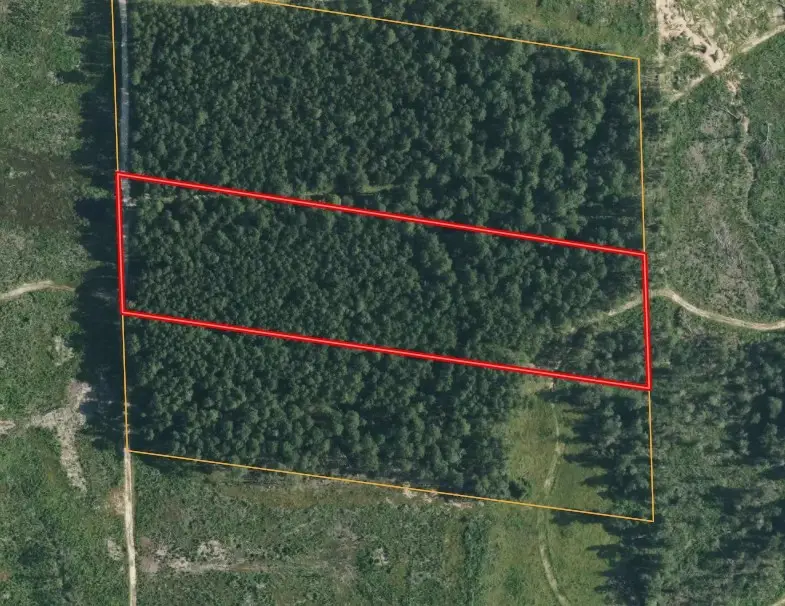 TBD Morgan Cemetary Rd, Cleveland, TX 77328 - #3