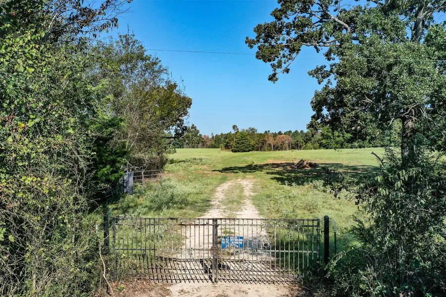 140 Acres State Highway 21 E, Crockett, TX 75835 - Image #3