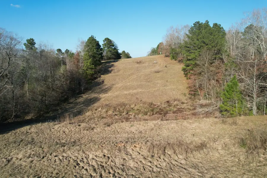 TBD Reeves Rd, Garrison, TX 75946 - Image #3