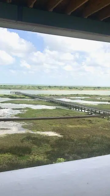 Lot 117 Tuscany Way, Port O Connor, TX 77982 - Image #1