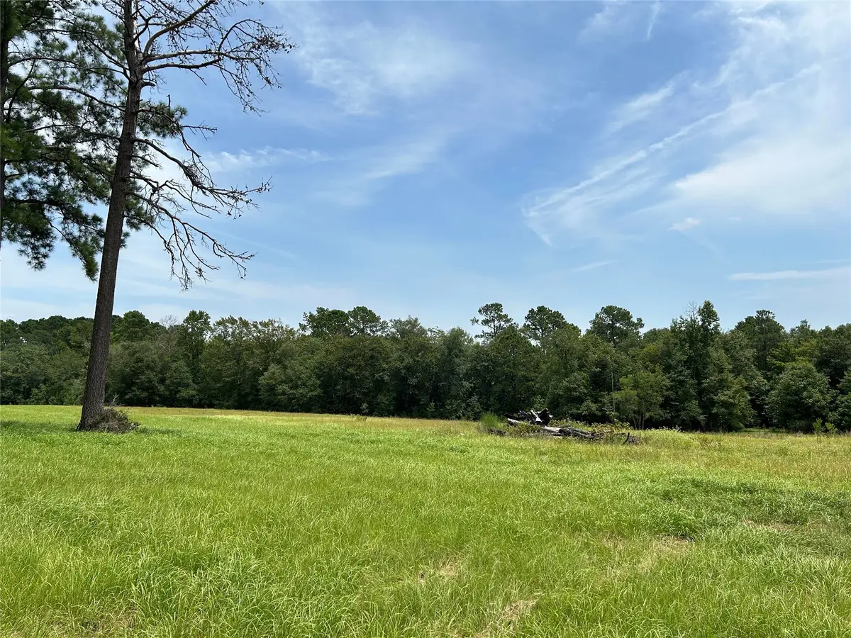 LOT 378 Madison Lake Loop, Woodville, TX 75979 - Image #1
