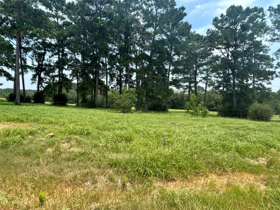 LOT 378 Madison Lake Loop, Woodville, TX 75979 - Image #2