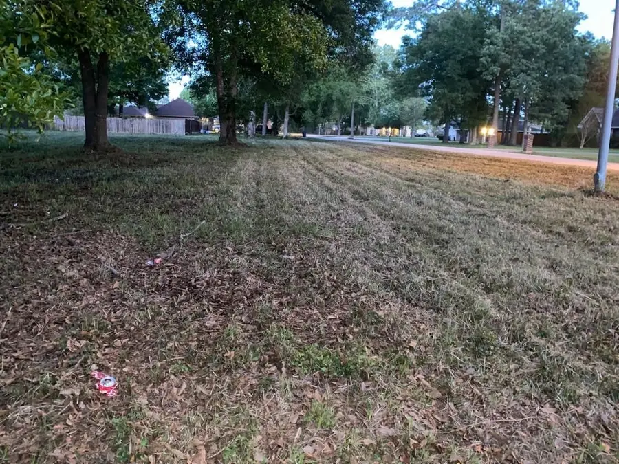 21314 Briar Oak Drive, Humble, TX 77338 - #3