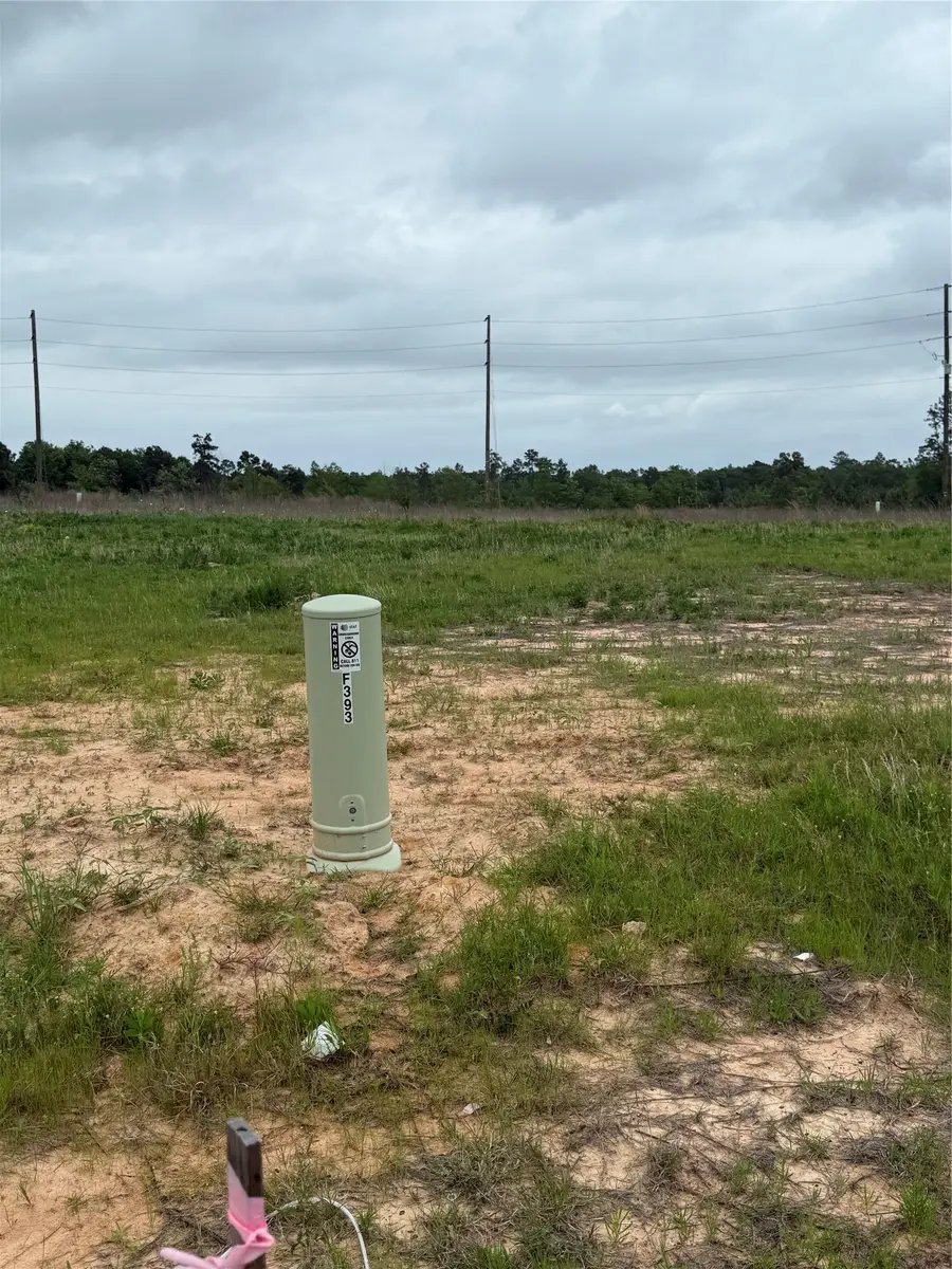 393 Road 5915-24, Cleveland, TX 77327 - #2