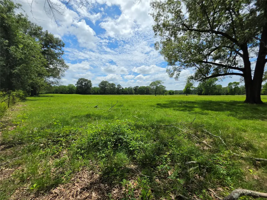 0 Fm 1280, Lovelady, TX 75851 - #3