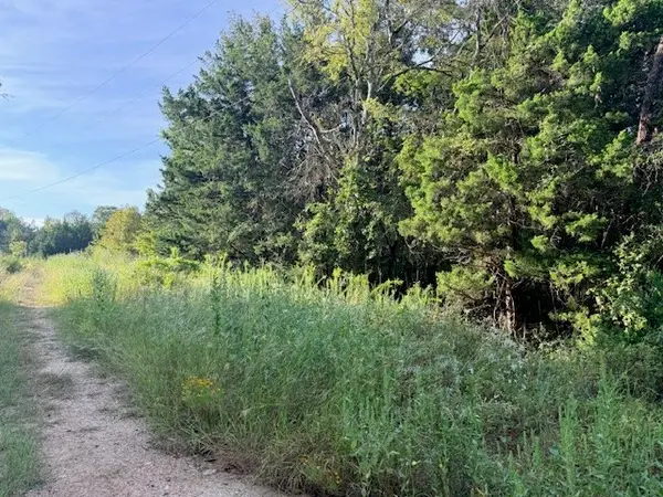 TBD River Dr, Coldspring, TX 77331