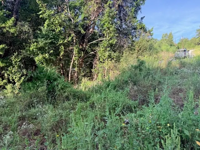 TBD River Dr, Coldspring, TX 77331 - #2