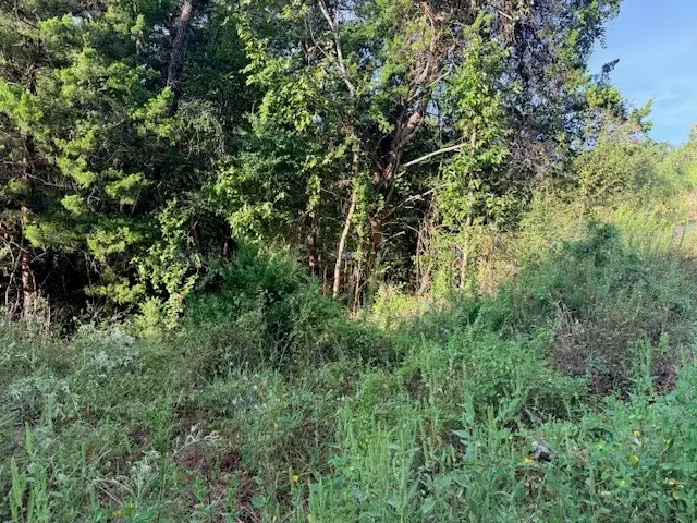 TBD River Dr, Coldspring, TX 77331 - #3