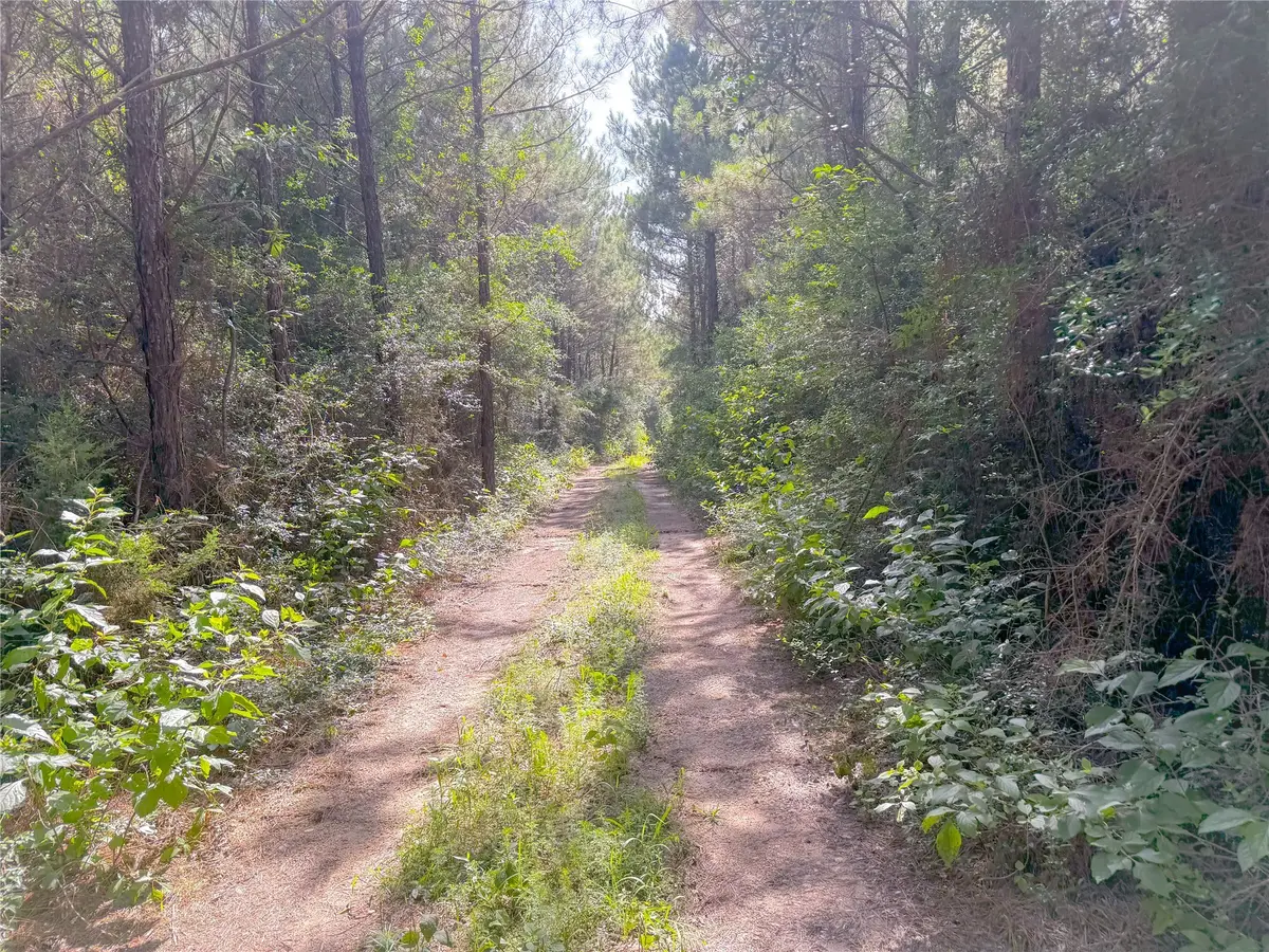 0 County Road 2650, Cleveland, TX 77327 - Image #1