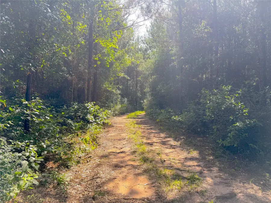 0 County Road 2650, Cleveland, TX 77327 - Image #2