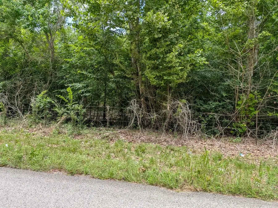 Tract 19 County Road 302, Navasota, TX 77868 - #2