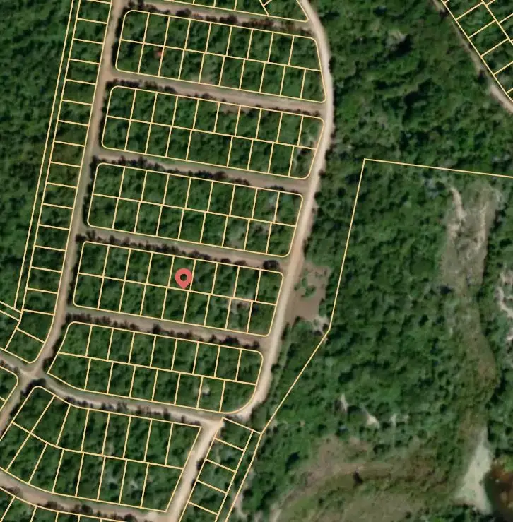 Lot 14 Ellis Lane, Normangee, TX 77871 - Image #3