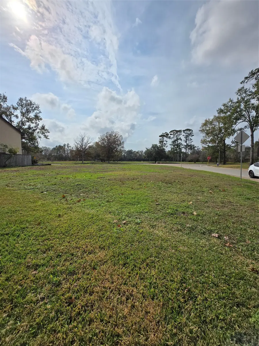 1134 Wynnwood Lane, Houston, TX 77008 - #2