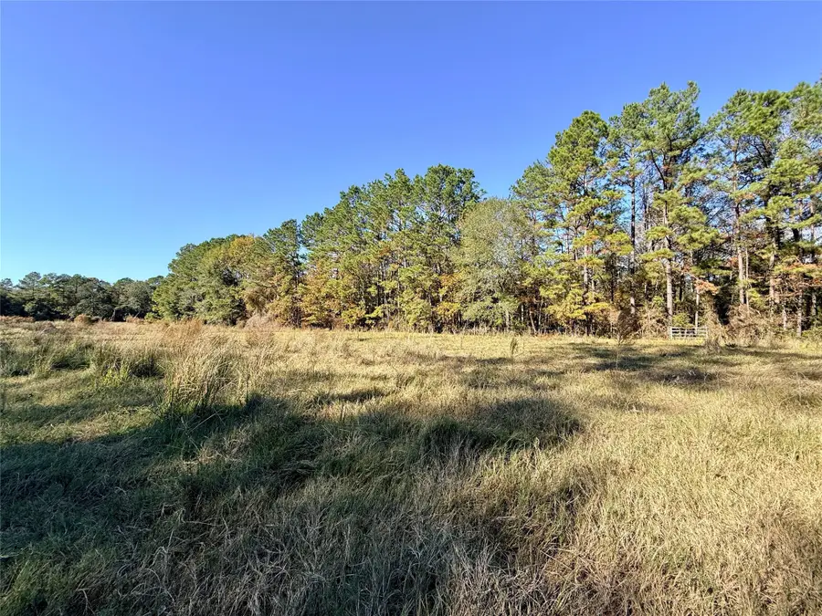 000 Lakeland Drive, Hillister, TX 77624 - Image #2