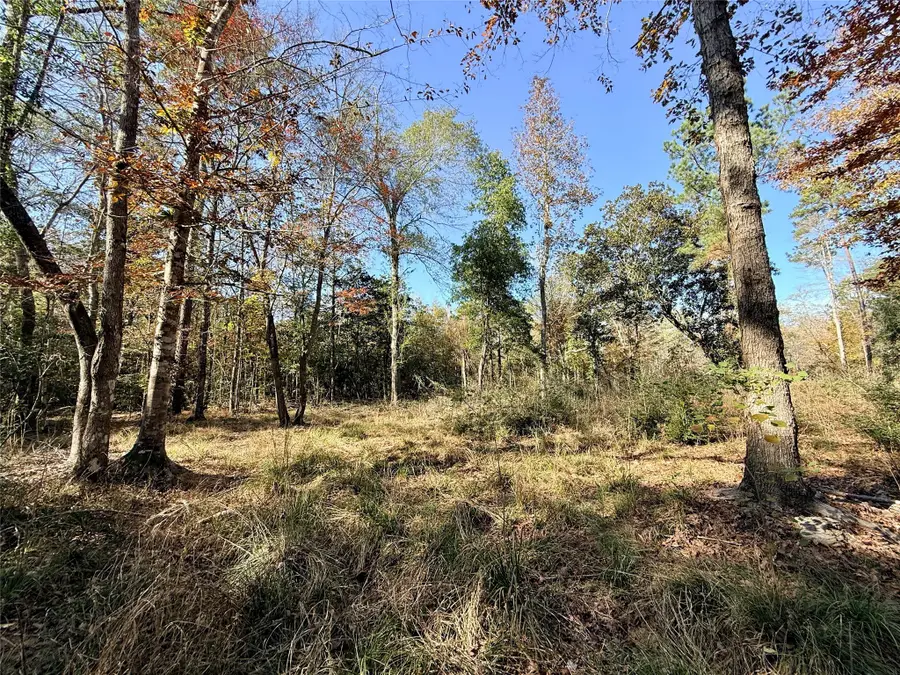 000 Lakeland Drive, Hillister, TX 77624 - Image #3