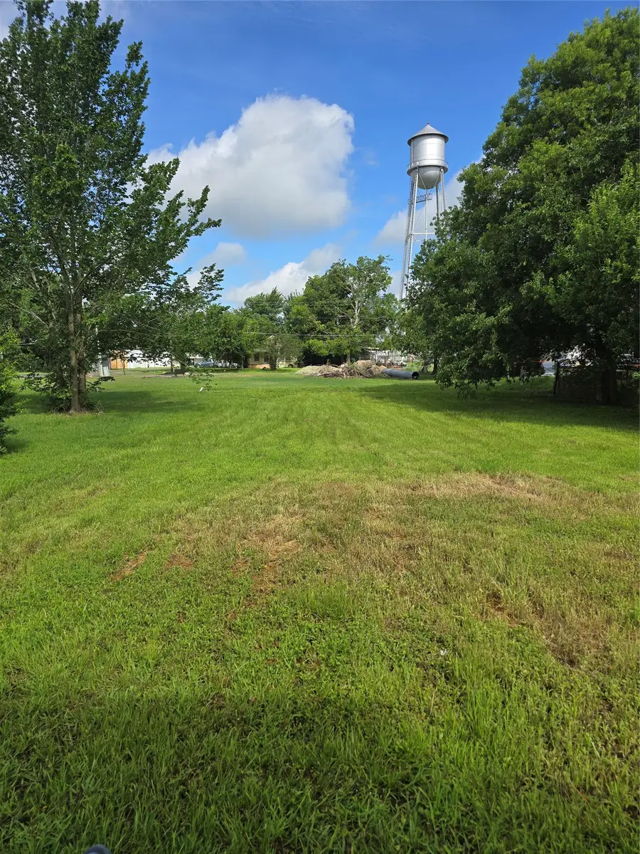 115 S Dallas Street, Bremond, TX 76629 - #2