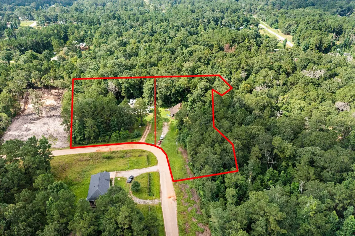 101 & 121 Humbird, Shepherd Evergreen, TX 77328 - Image #1